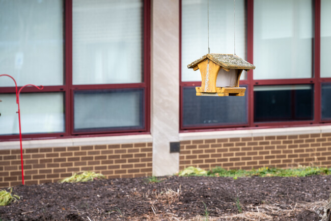 At Baker Elementary School you will find several bird feeders handing around to feed the birds.