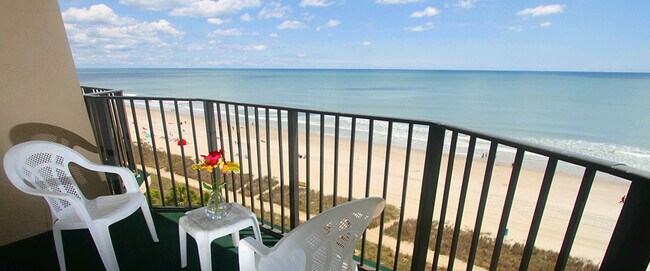 Blue Palmetto, Myrtle Beach, SC 29577 - photo 4