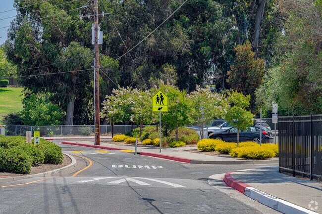 Sinsheimer Elementary School serves K - 6th grade levels in San Luis Obispo County.