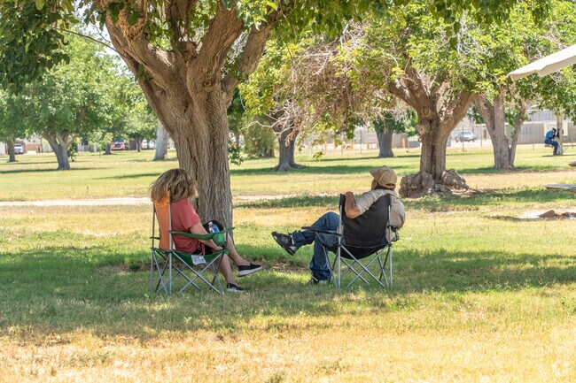 Todd Park is the best place to enjoy the green shade in the Blythe desert.