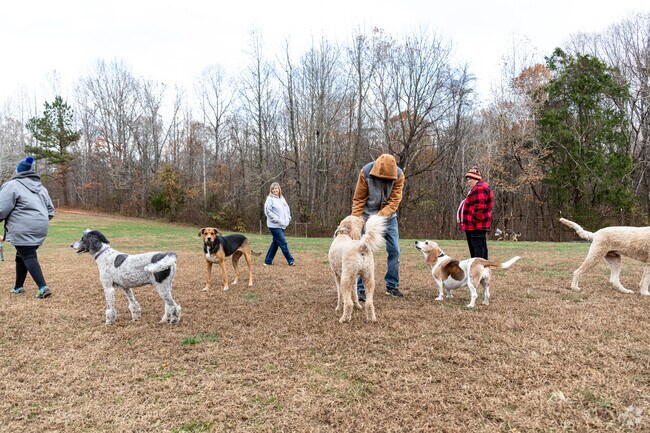 Grays Rd dog park in Port Republic has a great community feel and many dog owners.