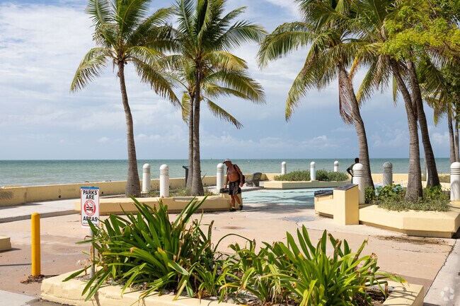 Palm trees will provide shade by the ocean in the Zackery State Park.