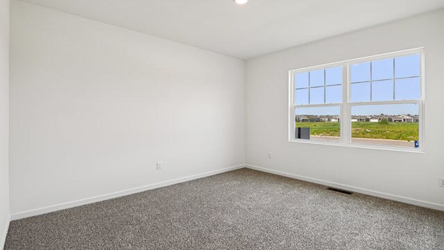 1339 Grand Tetons Dr unit 36205970, Pingree Grove, IL 60140 - photo 4