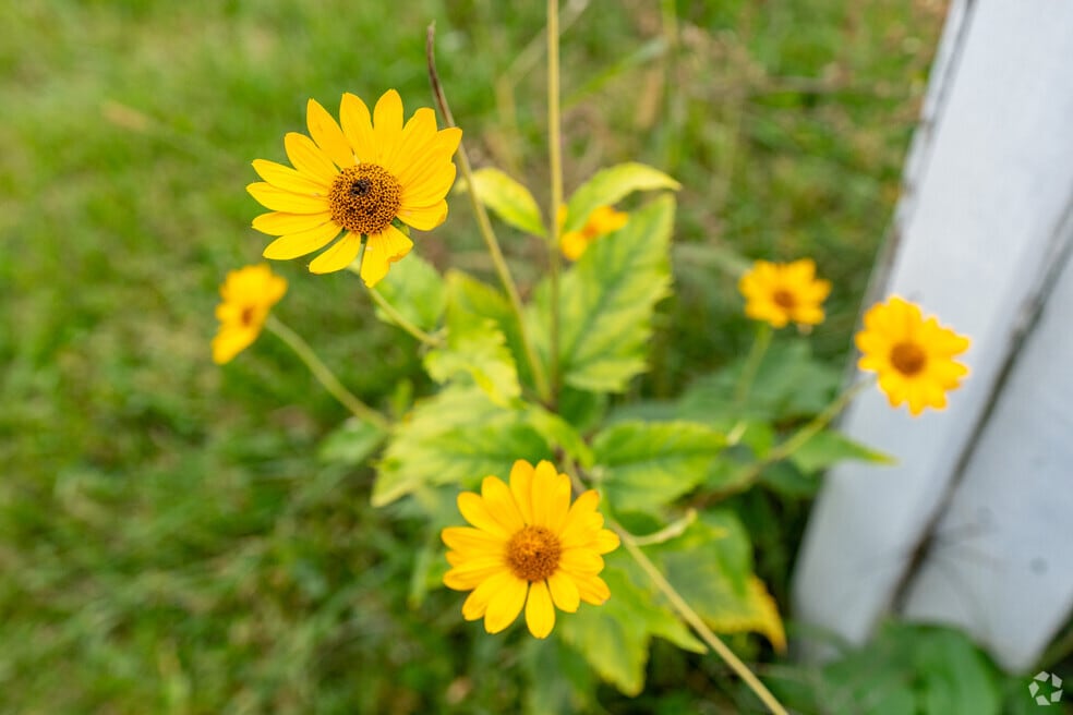 Lasalle College Park