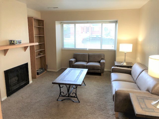 Large Living Room