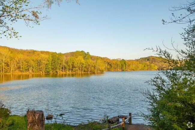 Radnor Lake State Park is a beautiful place to explore the outdoors in Nashville.