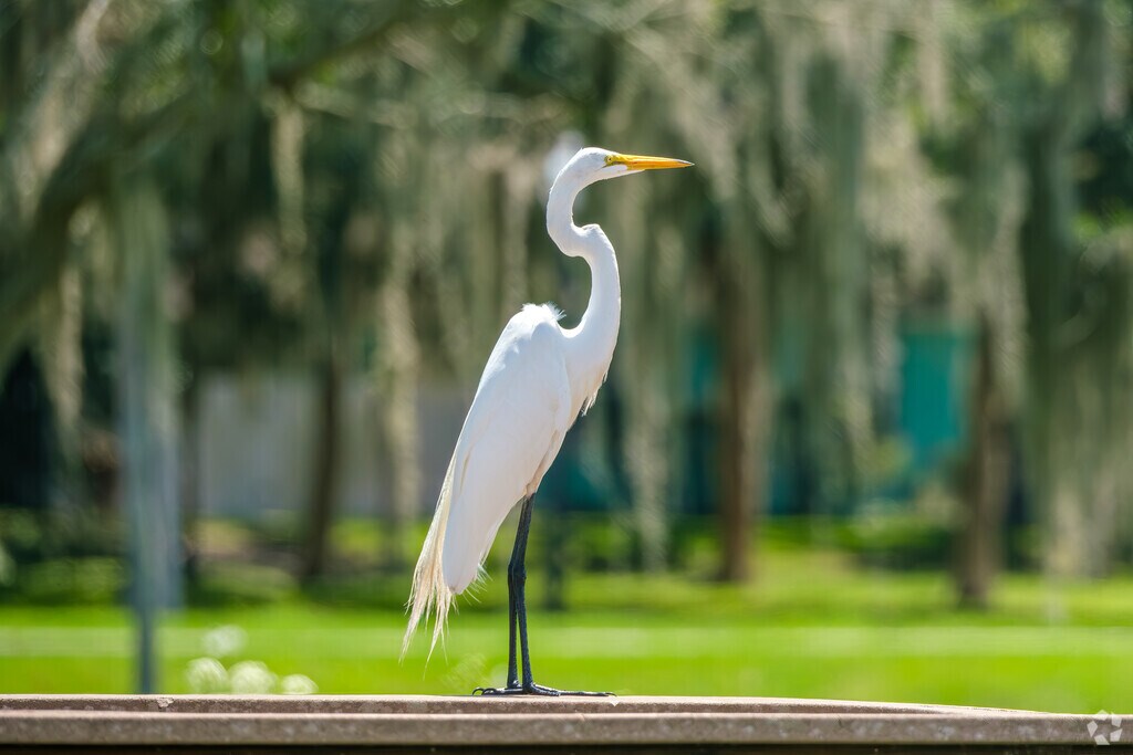 9891 Orion Loop Unit 305821277972, Leesburg, FL 34788