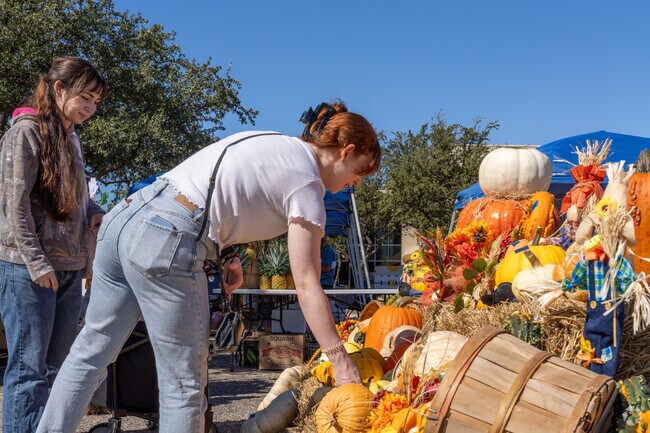 Residents of the College Heights neighborhood in Midland search for the perfect pumpkin at Midland's Artisan Market.