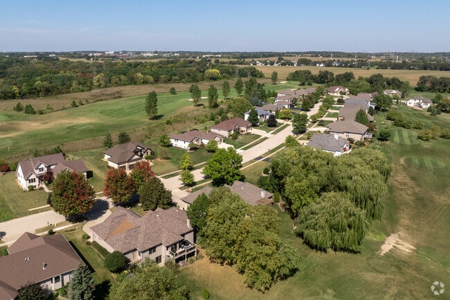 An aerial view of a Cherry Valley neighborhood, showcasing tree-lined streets, charming homes, and lush green spaces.
