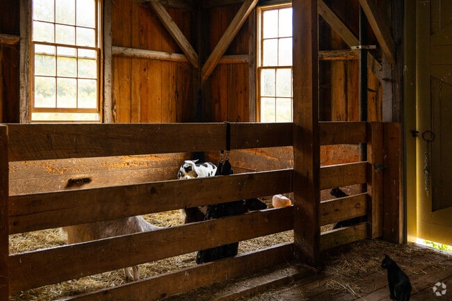 Visit the goats and other animals at Norland Living History Center in Livermore.