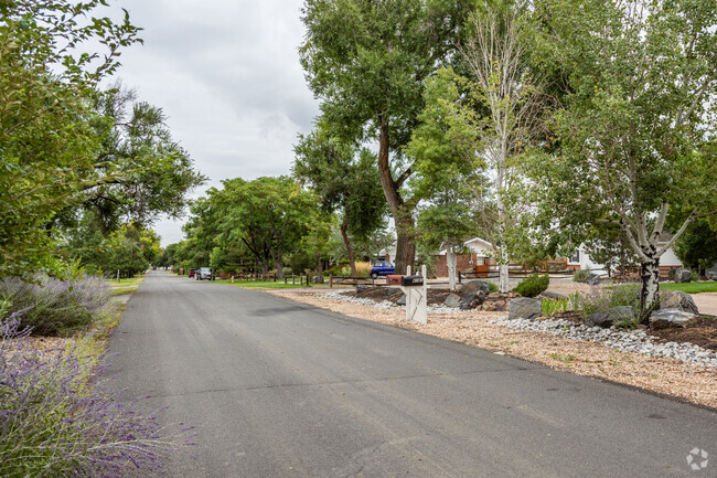 Creative and colorful front yards in Sunnyslope in Broomfield, Colorado.