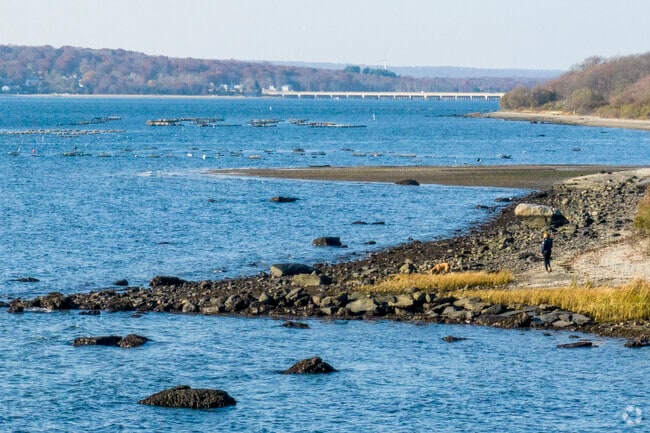 Walk through Marsh Meadows Wildlife Preserve for trails along the Jamestown Village coast.