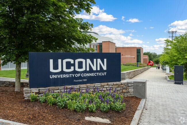 UCONN in Mansfield draws many Ashford grads with top research and championship hoops.