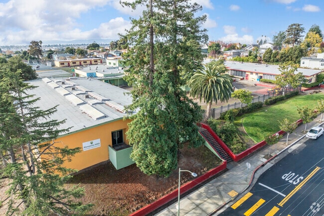 Manzanita Seed is located in Oakland, California.