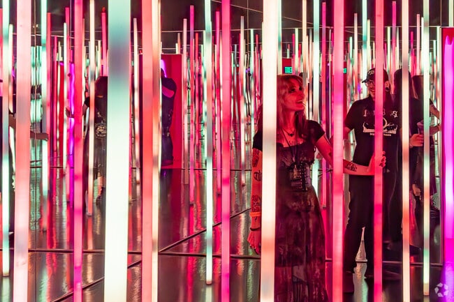 Otherworld, an immersive art museum, offers interactive exhibits just outside Abby Trails.