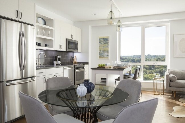 Serenity, Jamaica Plain, MA 02130 - photo 3