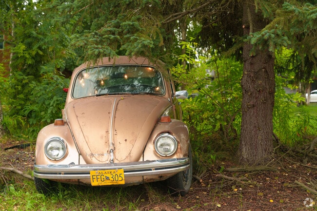 Quirky details brighten the streets of Government Hill.