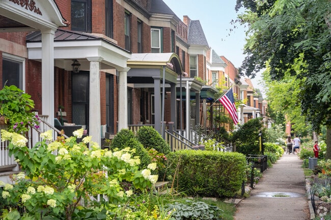 Roscoe Village homes line the streets with their gardens on full display in mid-July.