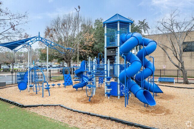 Trinity Classical School in Houston seeks to educate the whole child – mind, body, and spirit.