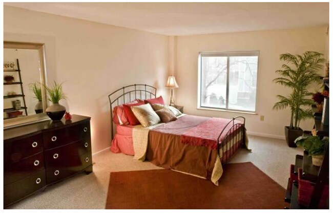 315 Franklin St unit 401, Cambridge, MA 02139 - photo 6