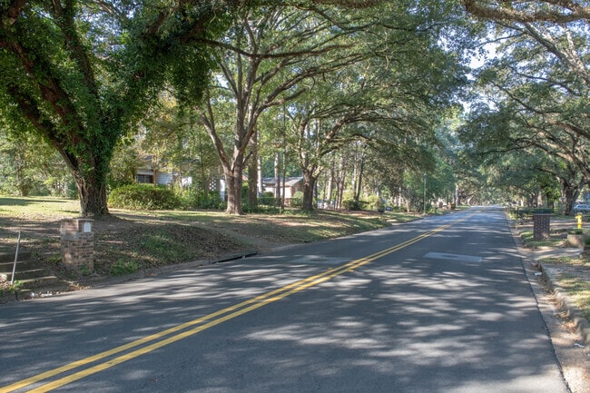 The streets of the Highland Park neighborhood are often lined with shady live oak trees.