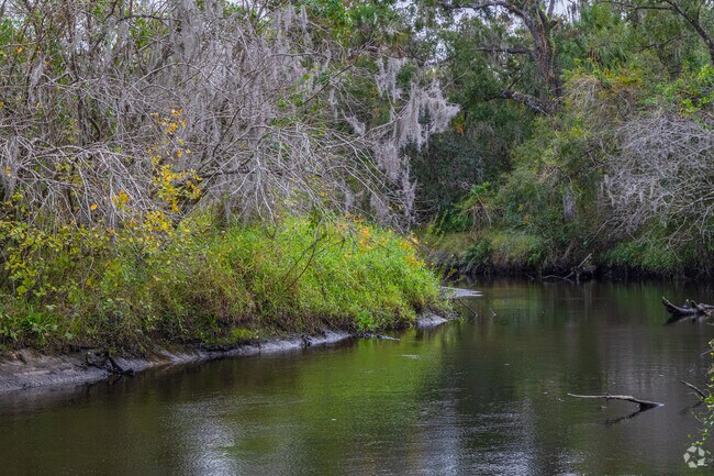 Little Manatee River State Park offers scenic views at every bend.