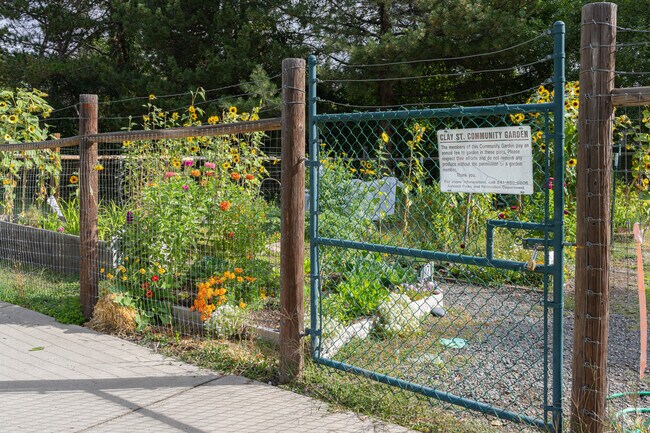 The city of Ashland provides a community garden for South Ashland residents to enjoy.