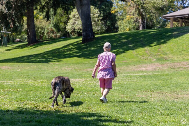 Many locals take their dog to the park in Hucrest.
