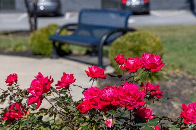 Take a seat and enjoy colorful blooms in the Baltimore-Linwood neighborhood.
