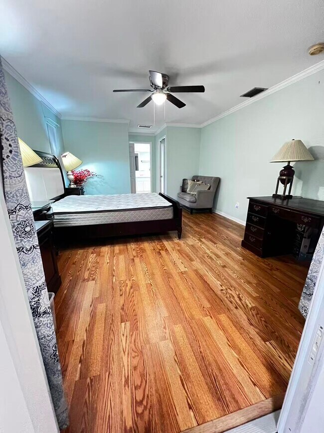 835 Winding Oaks Dr unit Shared yard Apt, Palm Harbor, FL 34683 - photo 4