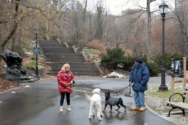 Morningside Park is a wonderful place for everyone to meet and enjoy the day.