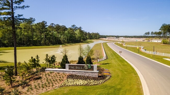 318 Willow Run Dr, Summerville, SC 29486 - photo 7