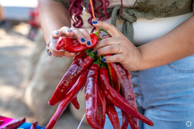 The 2024 Hatch Chile Festival Parade brought vibrant floats and community spirit to Las Cruces.