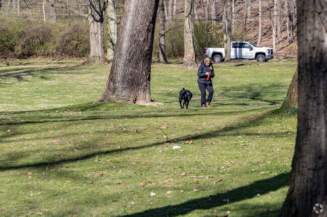 Morrow-Pontefract Park is a great place to walk your dog and enjoy some shade.