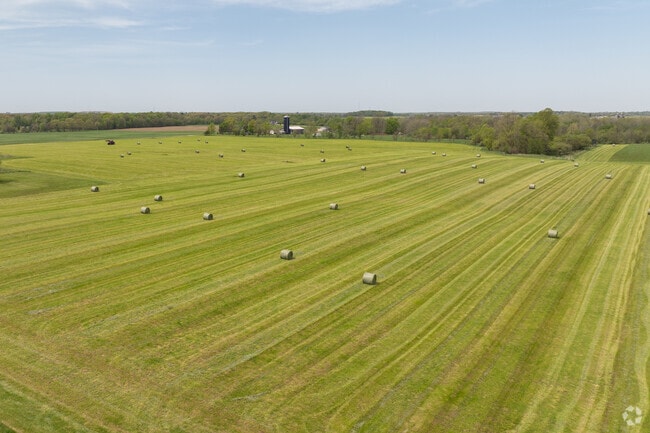 Most of Lamont is rural farmland and cow farms, with a sprinkling of farmhouses.