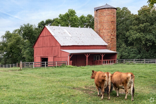 Curiously, a working farm with cows and a dairy barn can be found at Oxon Cove Park & Oxon Hill Farm in Forest Heights.