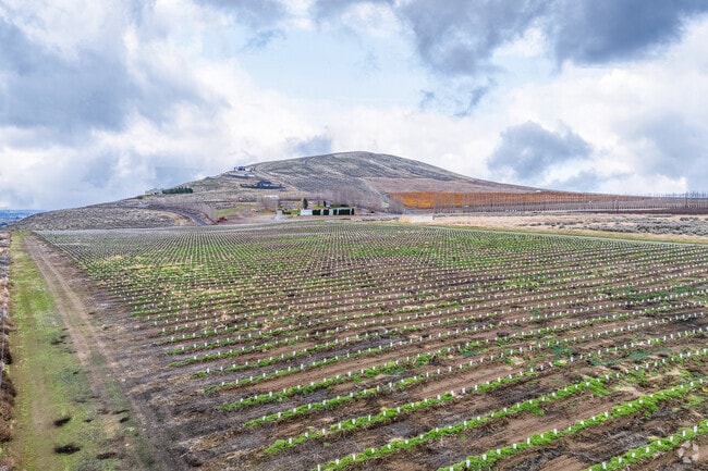 Richland is surrounded by miles of farmland.