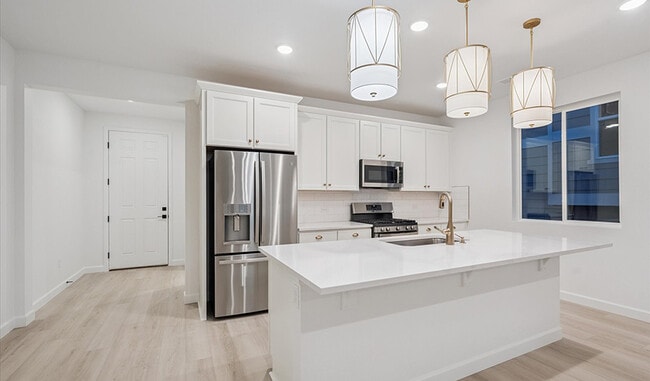 904 Steppe Ln, Windsor, CO 80550 - photo 2