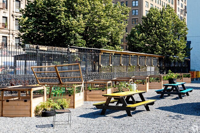 Frank McCourt High School - Garden