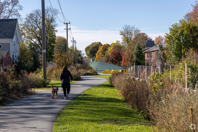 Dog walkers enjoy the many paths throughout Lynnway.