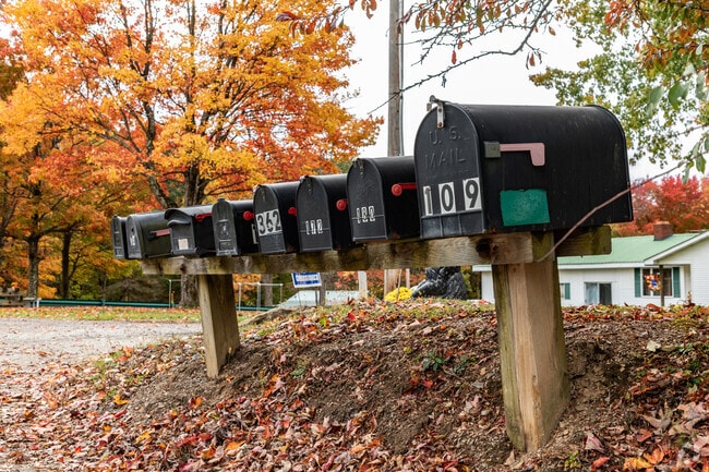 Mailboxes grouped together is a common site in the outskirts of Dunbar.