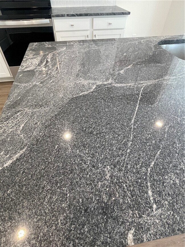 21 Sweetgrass St, Central, SC 29630 - photo 4