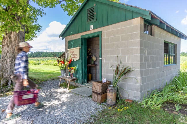 The farm stand at the Muster Field Farm provides a wide range of fresh from the field produce.