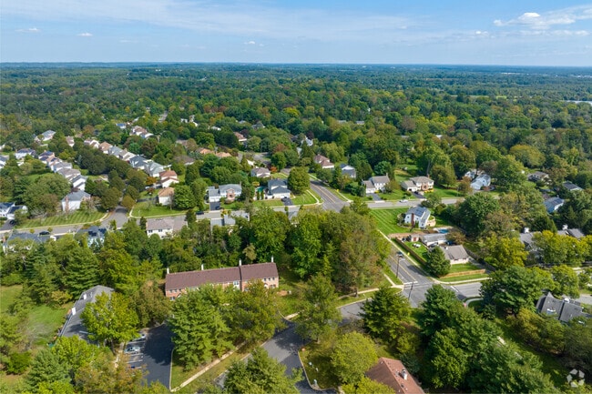 Gorgeous trees form natural canopies over Lawrenceville neighborhoods.