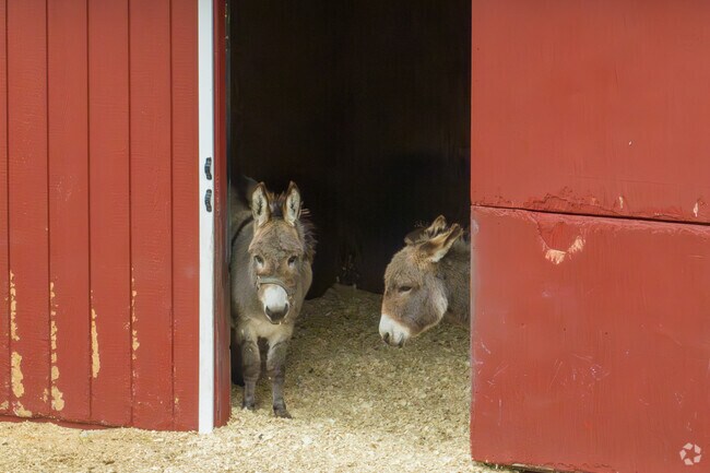 Local farms in Daniel Farm District offer small petting zoos for children.