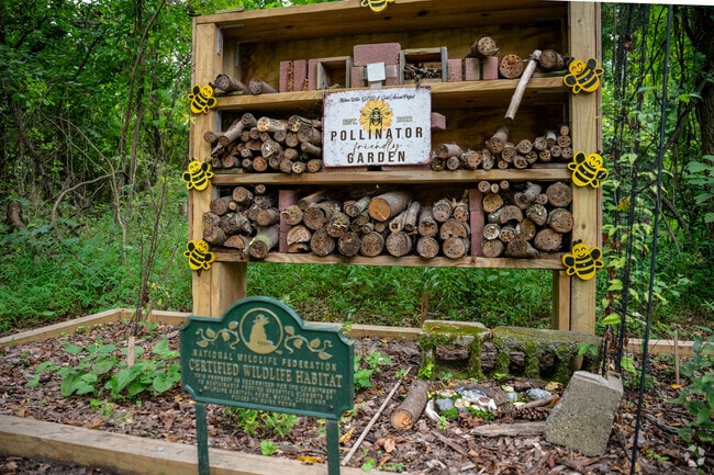 Rancocas State Park in Westampton is doing its part to save the bees.