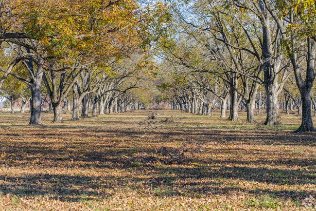 Scott's topography and soil make it a perfect location for its numerous pecan groves.