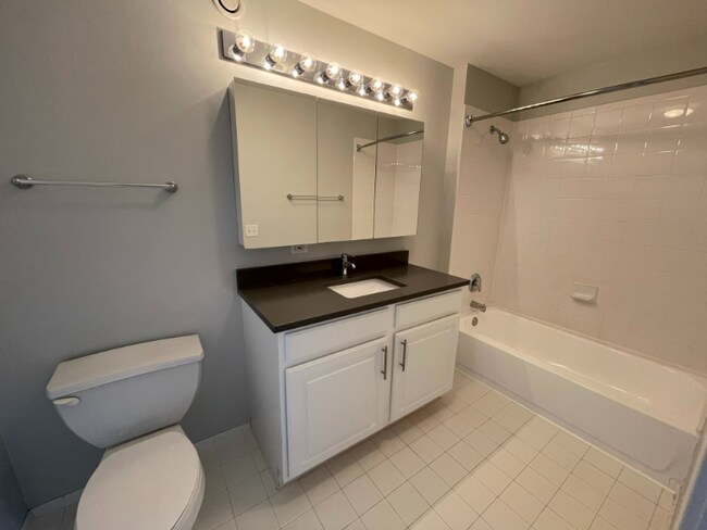 529 N State St, Chicago, IL 60654 - photo 5