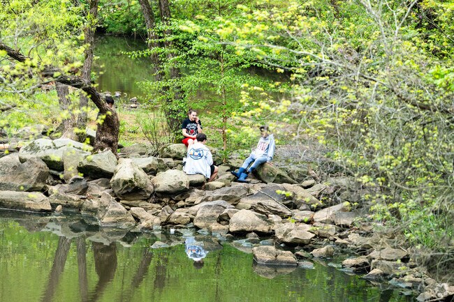 William B. Umstead State Park has many different water features.