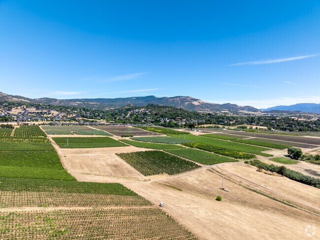 You will find miles of vineyards in Southeast Medford.